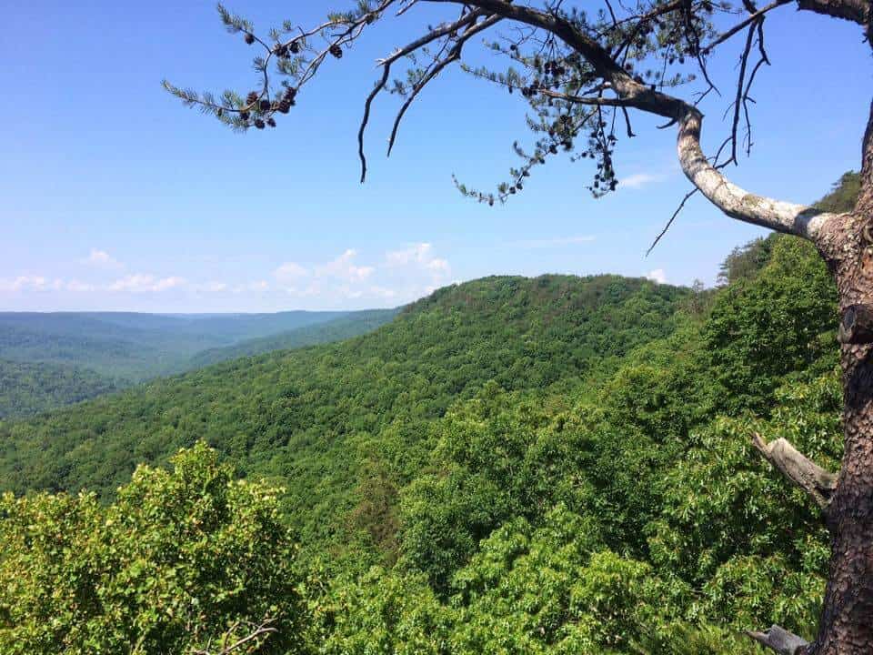 Martha's Pretty Point Overlook during Virgin Falls hike, green trees and hills