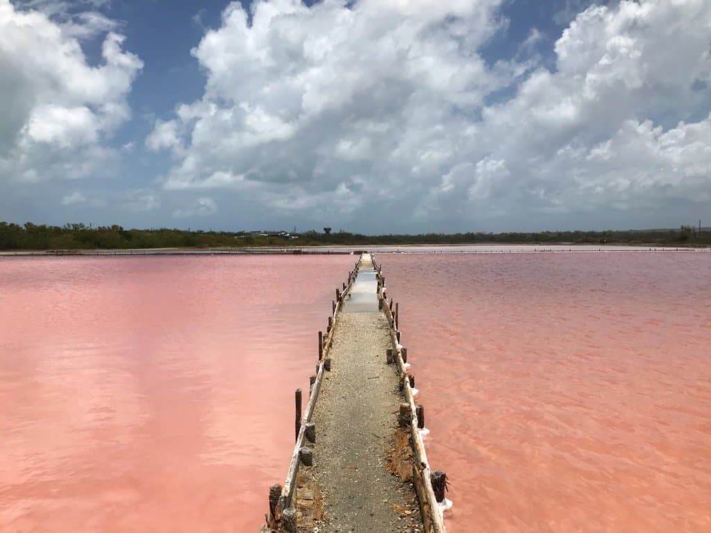 pink water, salt flats, cabo rojo, puerto rico