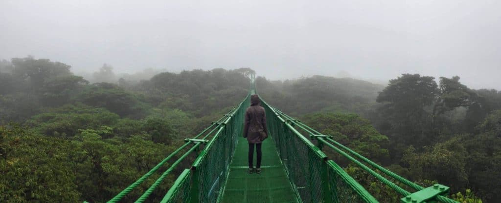 Hanging Bridge Tour in Monteverde Costa Rica, in the tree tops