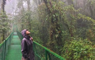 Things to do in Monteverde Costa Rica, in the cloud forest on a hanging bridge looking at the tree tops