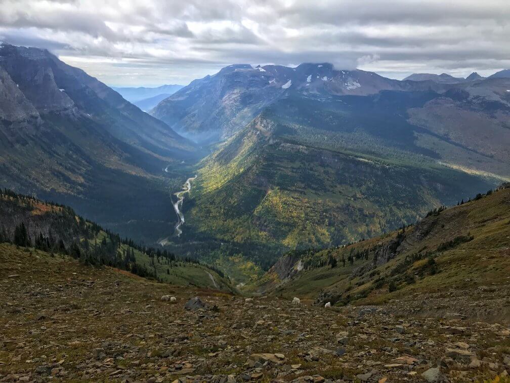 Highline Trail view in Glacier National Park, the continental divide and mountain goats