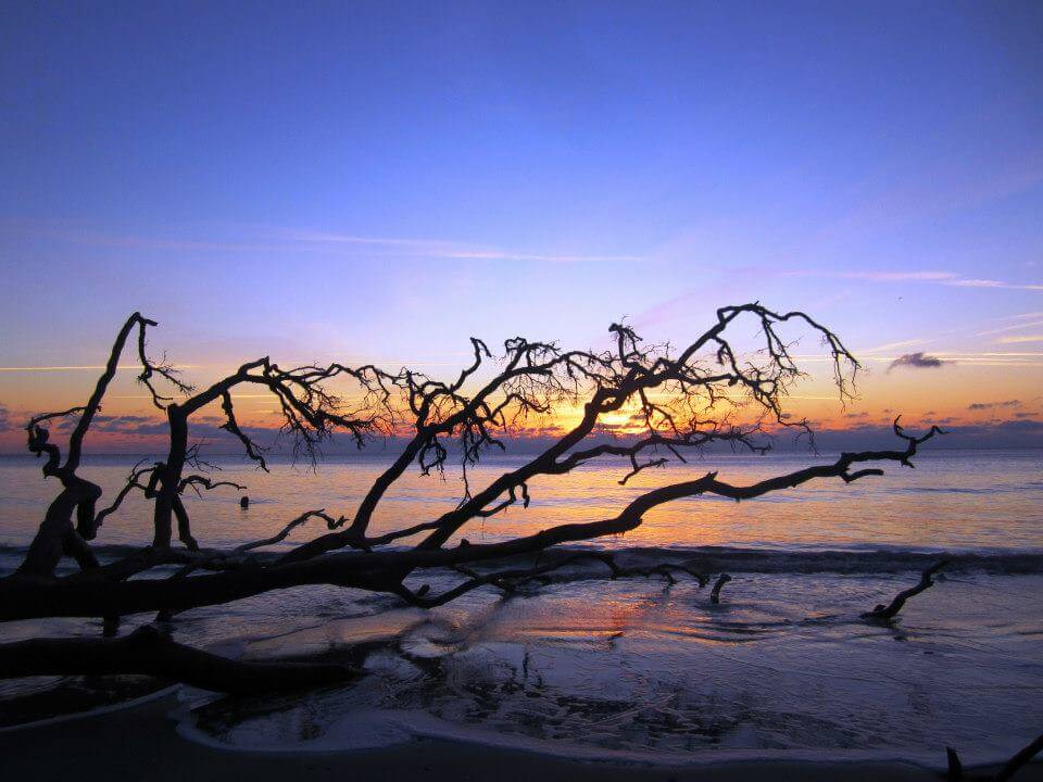 Things to do in Beaufort, South Carolina - Hunting Island State Park sunrise