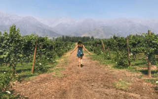 Vina Aquitania in Santiago, Chile, vineyard and andes mountains