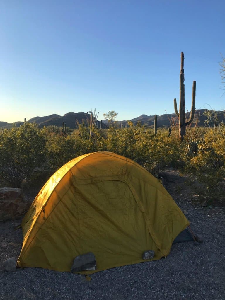 Yellow tent with saguaro behind it Gilbert Ray Campground