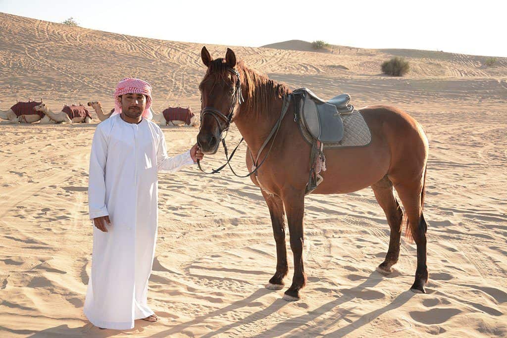 Horse riding in Dubai Desert