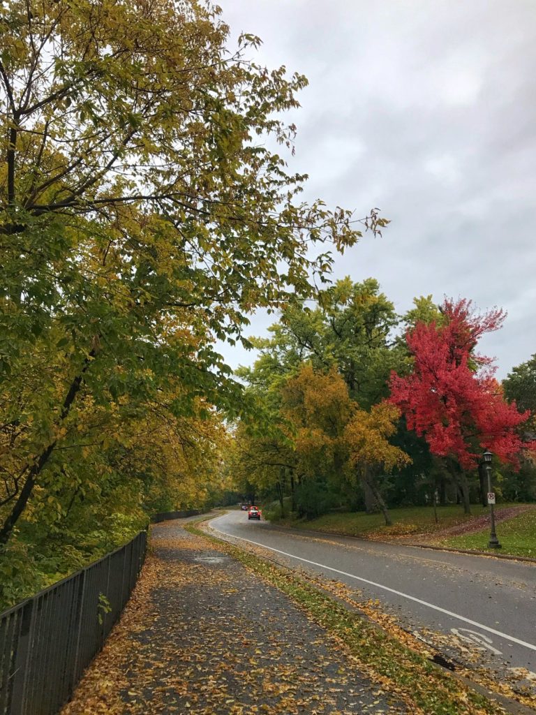 River Parkway in Minneapolis with fall foliage