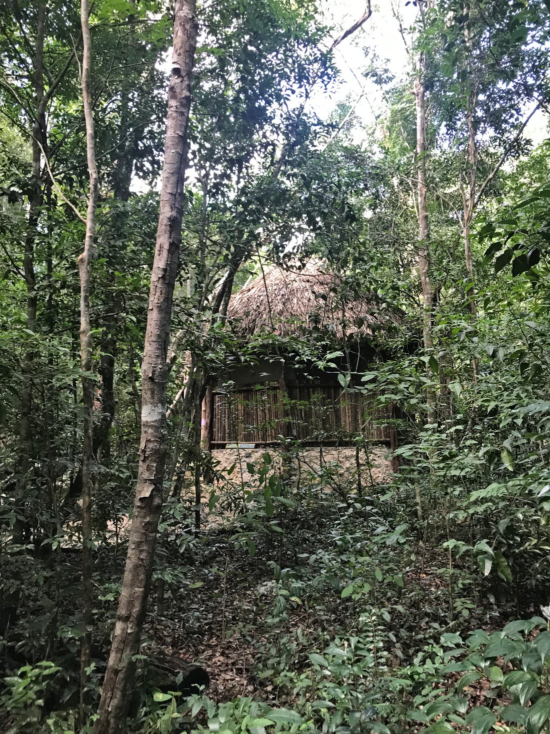 Jungle Hut at Lumapi Tulum, Mexico
