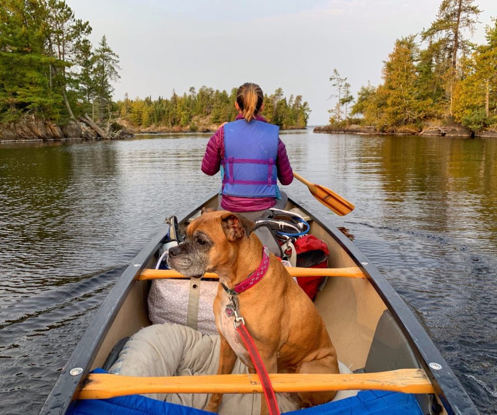 On the water in voyageurs national park