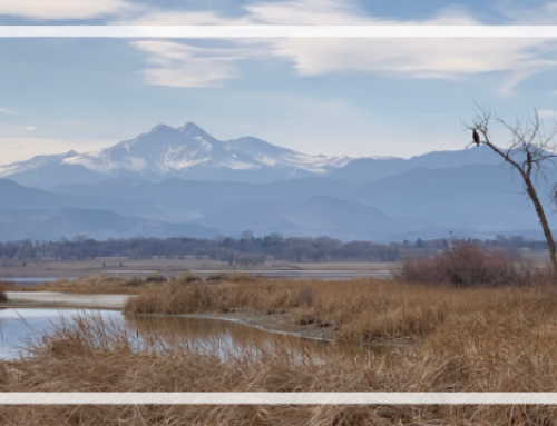 Best Free Trails Near Longmont, Colorado