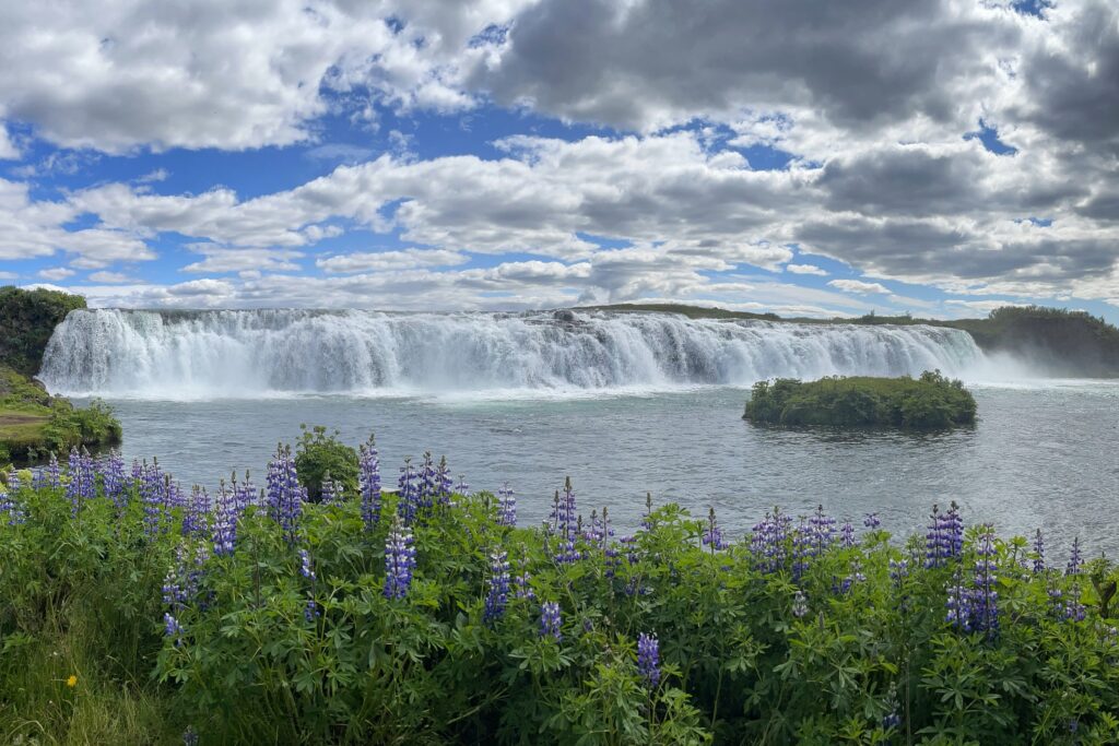 Foxafoss waterfall with purple flowers