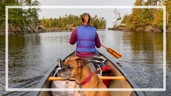 girl and dog canoeing in voyageurs national park