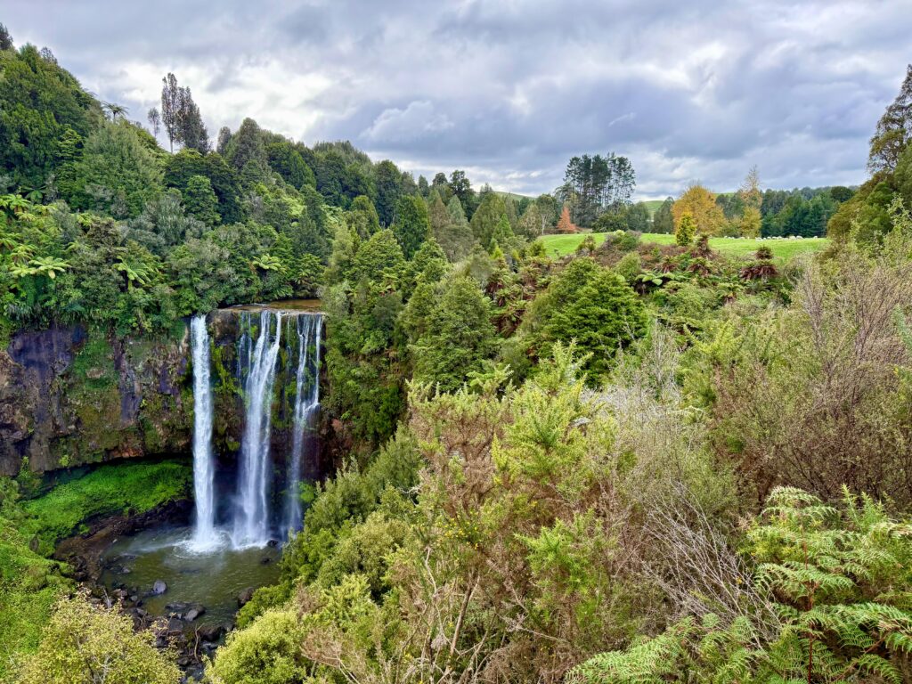 New Zealand waterfall in forest