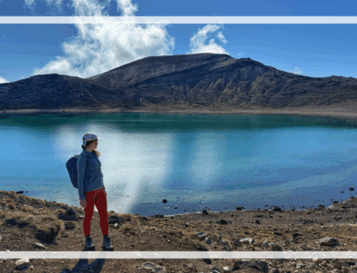 Solo Travel in New Zealand – Should You Do It?